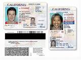 California Traffic Ticket Search By Drivers License Images