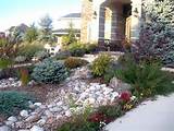 Texas Front Yard Landscaping Ideas