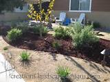 Drought Tolerant Front Yard Landscaping Ideas Photos