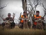 Wyoming Hunting Outfitters List Images