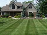 Landscaping Services Chicago Photos