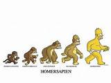 A Summary Of Darwins Theory Of Evolution Photos
