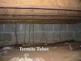 Pictures of Termite Infested House