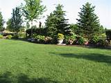 Privacy Landscaping Photos