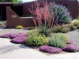 Images of New Mexico Backyard Landscaping Ideas