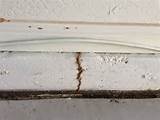 Pictures of Signs Of Termite Damage In Home