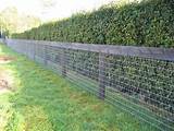 Photos of Knot Wood Fencing