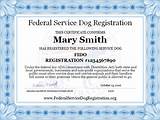 Photos of Emotional Service Dog Registration Free