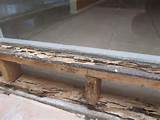 Images of Treating Termite Damage