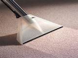 Images of Dry Carpet Cleaning Products