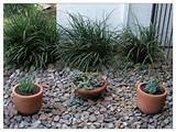 Pictures of Very Small Backyard Landscaping Ideas