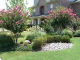 Photos of Landscape Plants For North Texas