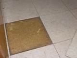 Tile Floor Scrubbers Photos