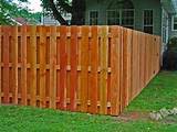 Photos of Privacy Wood Fencing