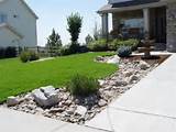 Front Yard Ground Cover Ideas