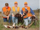 Photos of Nebraska Pheasant Hunting Outfitters