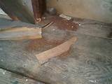 Termite Wood Shavings Pictures
