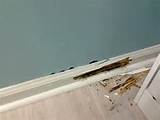 Pictures of Termite Damage Baseboards