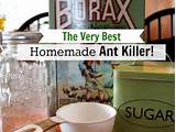 Homemade Termite Killer Recipe Photos
