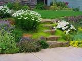 Lawn And Landscaping Ideas Images