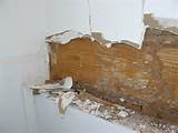 Pictures of Termite Damage Sill Plate