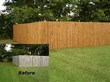 Pictures of When To Stain A Wood Fence