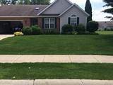 Images of Lawn Treatment Companies