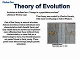 What Is The Theory Of Evolution Definition Photos