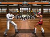 Pictures of Fighting Styles Games