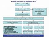 Cerebral Venous Sinus Thrombosis Treatment