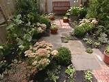 Pictures of Small Urban Yard Design