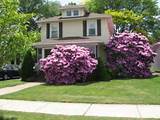 Landscaping Design Ideas For Small Front Yard Pictures