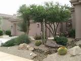 Pictures of Xeriscape Rock Landscaping