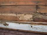Photos of Termite Contract Sample