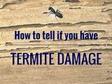 How To Tell If You Have Termite Damage Images