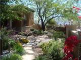 Pictures of Arizona Backyard Landscaping
