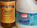 Pictures of Ringworm Home Remedies Bleach