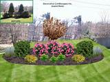 Photos of Landscaping Your Yard