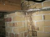 Photos of Termite Barrier Bunnings