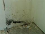 Pictures of Water Damage Wall Mold