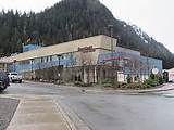 Pictures of Rainforest Recovery Juneau Alaska