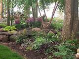 Images of Wooded Yard Landscaping