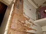 Repair Termite Damage Door Frame Pictures