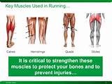 Core Muscles Used In Running