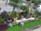 Images of Tropical Backyard Landscaping Ideas Pictures