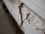 Photos of How To Know Termites In House