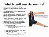 Cardiovascular Training Exercises Pictures