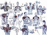 Muscle Exercises At Gym Pictures