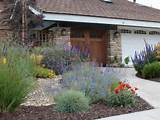 California Front Yard Landscaping Ideas Images