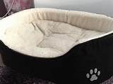 Images of Large Dog Beds For Sale
